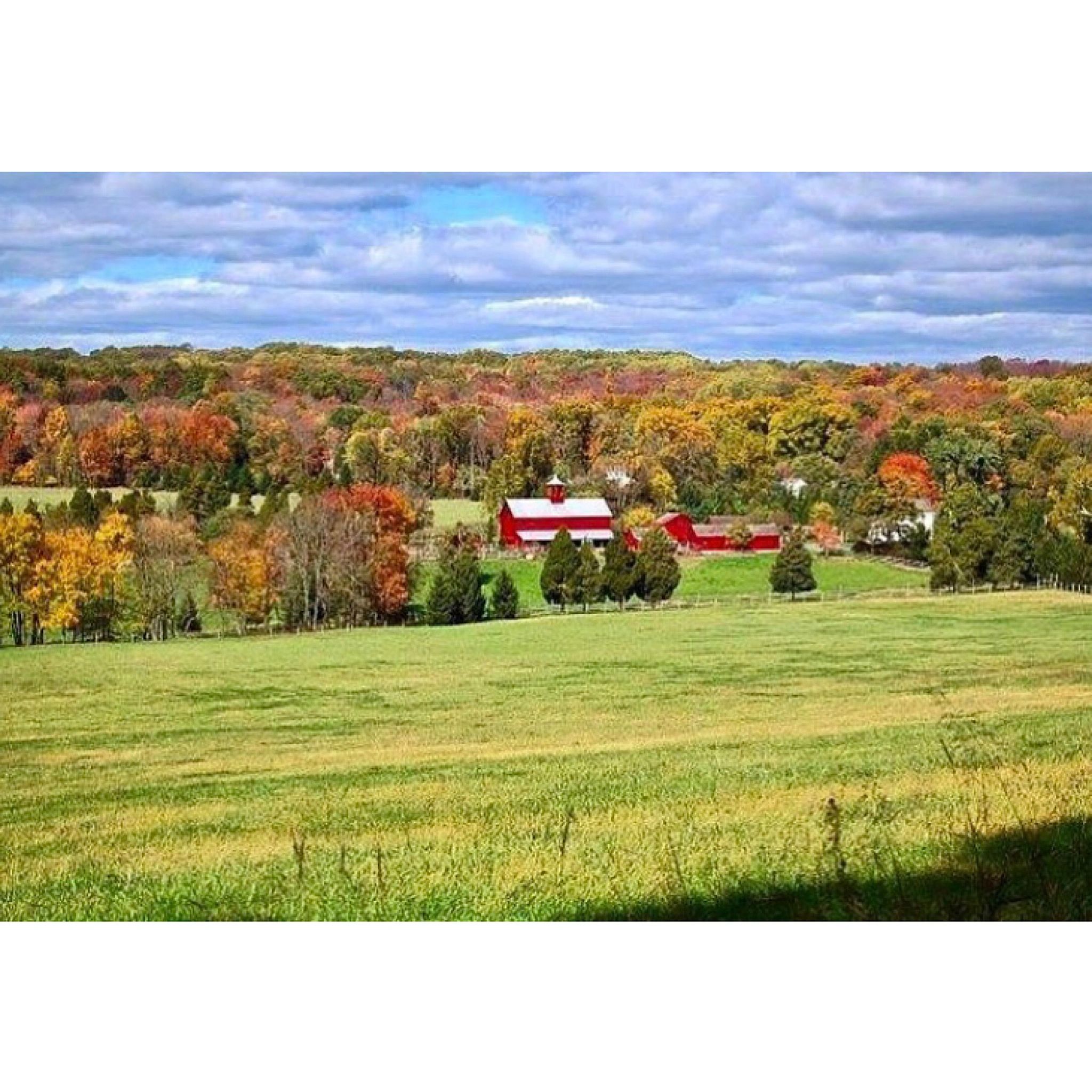 Farm Picnic Gathering