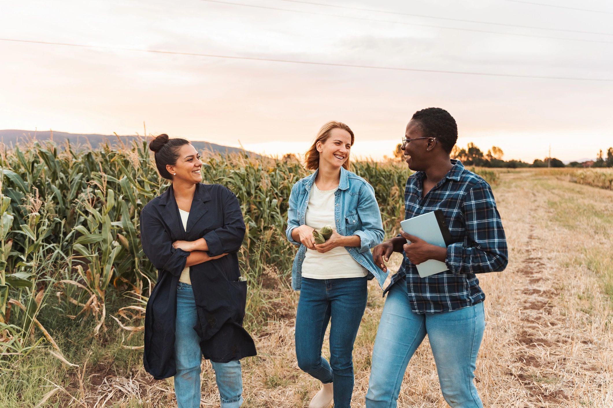 Family Farm Tours